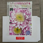 Spring Pink Flowers Canvas Wall Art Set of 3 | Unframed Vertical Macro Photography Prints | Biophilic Décor for Living Room, Bedroom & Office