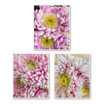 Spring Pink Flowers Canvas Wall Art Set of 3 | Unframed Vertical Macro Photography Prints | Biophilic Décor for Living Room, Bedroom & Office