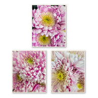 files/Spring-Pink-Flowers-Canvas-Wall-Art-Set-of-3-Unframed-Vertical-Macro-Photography-Prints_14.jpg