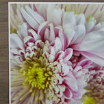 Spring Pink Flowers Canvas Wall Art Set of 3 | Unframed Vertical Macro Photography Prints | Biophilic Décor for Living Room, Bedroom & Office