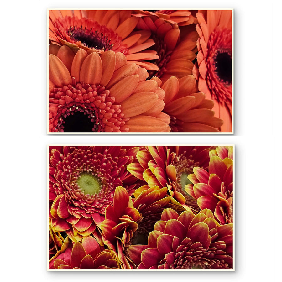 Spring Red Flowers Canvas Wall Art Set of 2