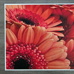 Spring Red Flowers Canvas Wall Art Set of 2 | Unframed Horizontal Macro Photography Prints | Biophilic Décor for Living Room, Bedroom & Office