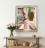 Spring Succulents Canvas Print Set of 3 | Bring Calm Indoors | Authentic Macro Photography | Biophilic Vertical Wall Art for Home Décor