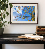 Spring Tree Branches Canvas Print Set of 3 | Bring Nature Indoors | Authentic Closeup Photography | Biophilic Wall Art for Home Décor