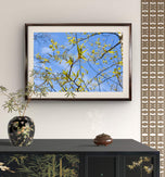 Spring Tree Branches Canvas Print Set of 3 | Bring Nature Indoors | Authentic Closeup Photography | Biophilic Wall Art for Home Décor