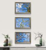Spring Tree Branches Canvas Print Set of 3 | Bring Nature Indoors | Authentic Closeup Photography | Biophilic Wall Art for Home Décor