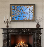 Spring Tree Branches Canvas Print Set of 3 | Bring Nature Indoors | Authentic Closeup Photography | Biophilic Wall Art for Home Décor