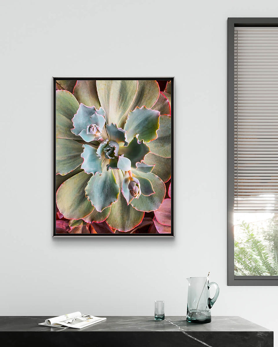 Framed photograph of sage and pink succulent on a wall above console