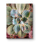 Gallery Wrapped Canvas Featuring Macro Photography of Green Succulents | Biophilic Style Vertical Wall Art for Home & Office Décor