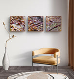 Spring Maple Branches with Raindrops - Authentic Macro Photography - Unframed Canvas Square 3 Prints Set - Biophilic Style Wall Art Décor