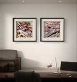 Spring Maple Branches with Raindrops - Authentic Macro Photography - Unframed Canvas Square 3 Prints Set - Biophilic Style Wall Art Décor