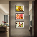 Soft Spring Succulents Canvas Wall Art Set of 3 — Unframed Horizontal Macro Photography Prints