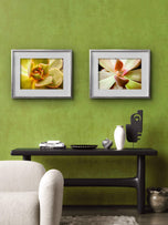 Soft Spring Succulents Canvas Wall Art Set of 3 — Unframed Horizontal Macro Photography Prints