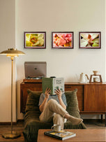 Soft Spring Succulents Canvas Wall Art Set of 3 — Unframed Horizontal Macro Photography Prints