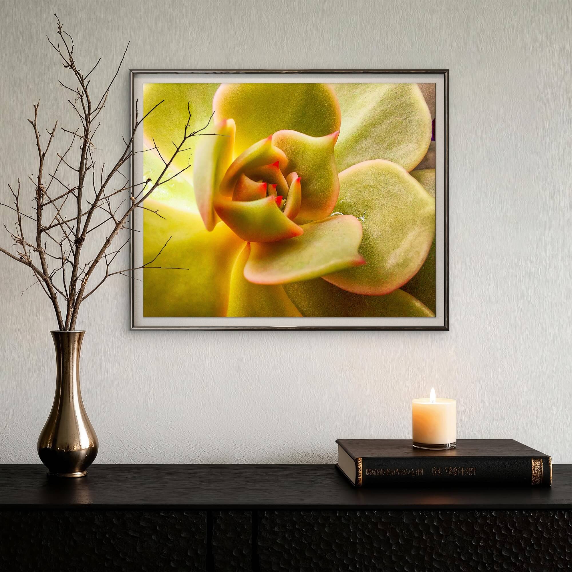 abstract succulent Soft Spring Succulents Canvas Wall Art Set of 3