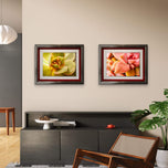 Soft Spring Succulents Canvas Wall Art Set of 3 — Unframed Horizontal Macro Photography Prints