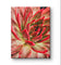 Red Succulents with Raindrops | Macro Photography Print | Vertical Gallery Wrapped Canvas Wall Art for Home & Office