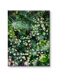Gallery Wrapped Canvas Wall Art | Lash Green Foliage Closeup Authentic Photography Print | Biophilic Style Home & Office Décor