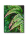 Gallery Wrapped Canvas Wall Art | Lash Green Foliage Closeup Authentic Photography | Biophilic Style Home & Office Décor