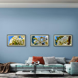 Sunny Cherry Blossom Macro Photography Canvas Set of 3 | Unframed Horizontal Prints | Biophilic Décor for Living Room, Bedroom & Office