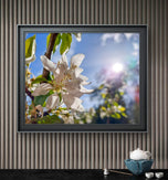 Sunset Apple Blossom Canvas Set of 3 | Horizontal Macro Photography Unframed Prints | Biophilic Wall Art for Living Room, Bedroom & Office
