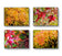 Autumn Rain-Kissed Vibrant Leaves Macro Photography | Set of 4 Horizontal Unstretched Canvas Prints | Biophilic Wall Art Decor