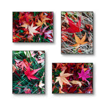Autumn Vibrant Leaves Authentic Macro Photography | Unstretched Canvas Prints Set of 4 Mixed Orientation Wall Art | Biophilic Style Decor