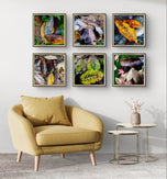 Autumn Vibrant Leaves Photography Prints | Set of 6 Unstretched Canvas Square Wall Art | Biophilic Nature Decor