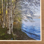 Tranquil Birch Trees by Mountain Lake Canvas Wall Art | Unframed Vertical Nature Photography Print | Biophilic Décor for Living Room, Bedroom & Office