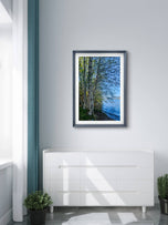Tranquil Birch Trees by Mountain Lake Canvas Wall Art | Unframed Vertical Nature Photography Print | Biophilic Décor for Living Room, Bedroom & Office