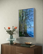 Tranquil Birch Trees by Mountain Lake Canvas Wall Art | Unframed Vertical Nature Photography Print | Biophilic Décor for Living Room, Bedroom & Office