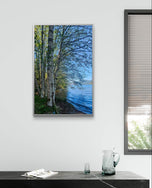 Tranquil Birch Trees by Mountain Lake Canvas Wall Art | Unframed Vertical Nature Photography Print | Biophilic Décor for Living Room, Bedroom & Office