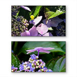 Summer Brilliance — Fairy Hydrangea | Purple Flower Macro Wall Art Set of 2 | Magical Summer Garden | Unframed Horizontal Canvas Prints