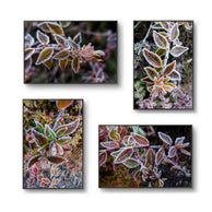 files/Vibrant-Frosty-Leaves-Macro-Photography-on-Canvas-Set.jpg