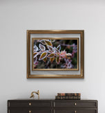 Winter Frost Macro Canvas Wall Art | Bring Nature's Serenity Indoors | Authentic Photography Print Set of 4 | Biophilic Home Decor