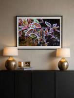 Winter Frost Macro Canvas Wall Art | Bring Nature's Serenity Indoors | Authentic Photography Print Set of 4 | Biophilic Home Decor
