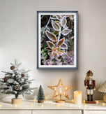 Winter Frost Macro Canvas Wall Art | Bring Nature's Serenity Indoors | Authentic Photography Print Set of 4 | Biophilic Home Decor