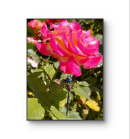 Vibrant Pink Rose with Dragonfly - Authentic Nature Closeup Photography - Unframed Canvas Vertical Print - Biophilic Wall Art for Home Office Décor