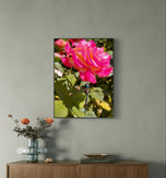 Vibrant Pink Rose with Dragonfly - Authentic Nature Closeup Photography - Unframed Canvas Vertical Print - Biophilic Wall Art for Home Office Décor