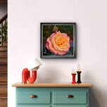 Vibrant Roses with Raindrops Canvas Wall Art Set of 3 | Unframed Square Macro Photography Prints | Biophilic Décor for Living Room, Bedroom & Office