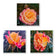 Vibrant Roses with Raindrops Canvas Wall Art Set of 3 | Unframed Square Macro Photography Prints | Biophilic Décor for Living Room, Bedroom & Office