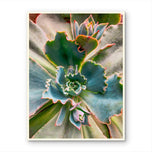 Vibrant Spring Succulent Canvas Wall Art | Unframed Vertical Macro Photography Print