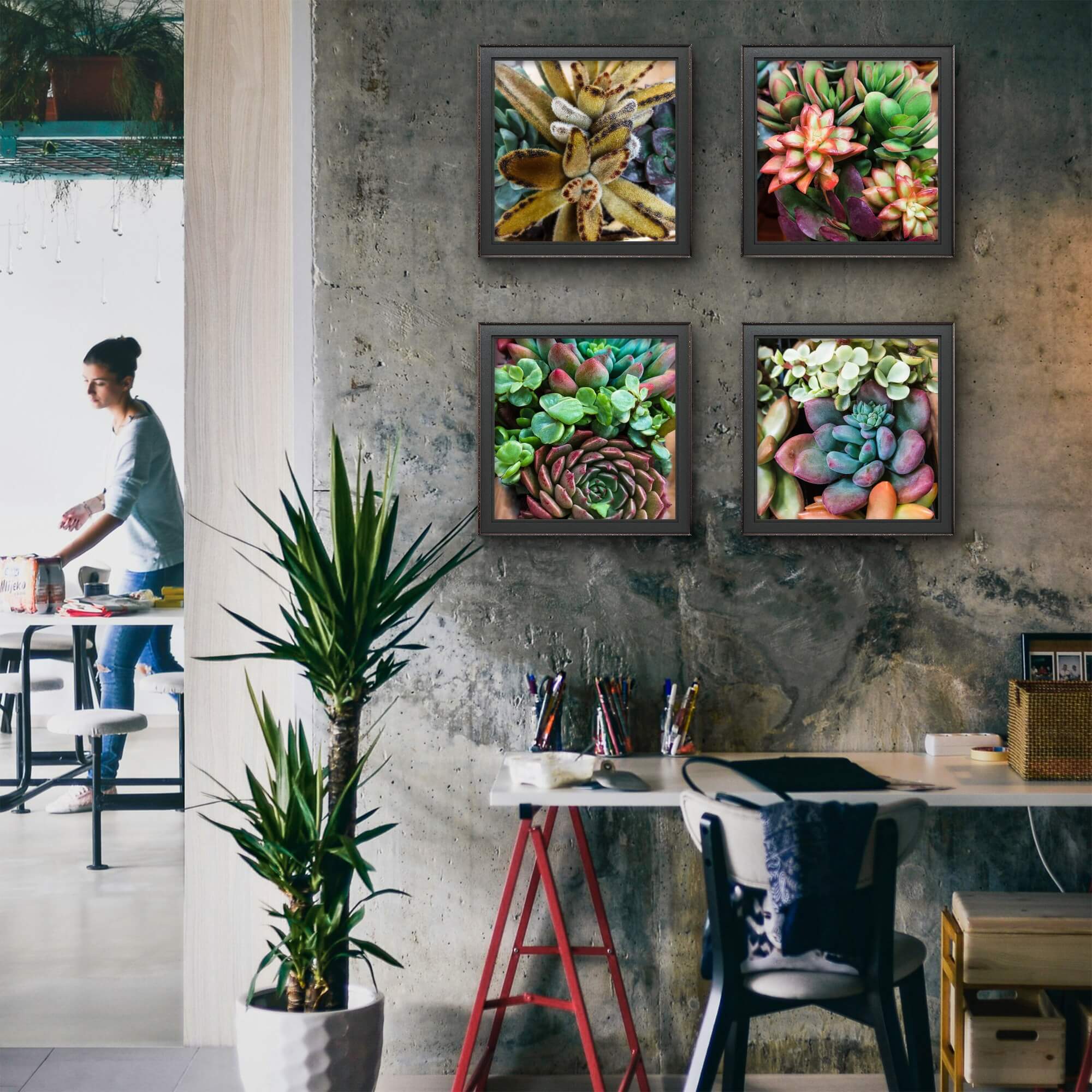 large succulent wall art Spring Succulents Canvas Wall Art Set of 6