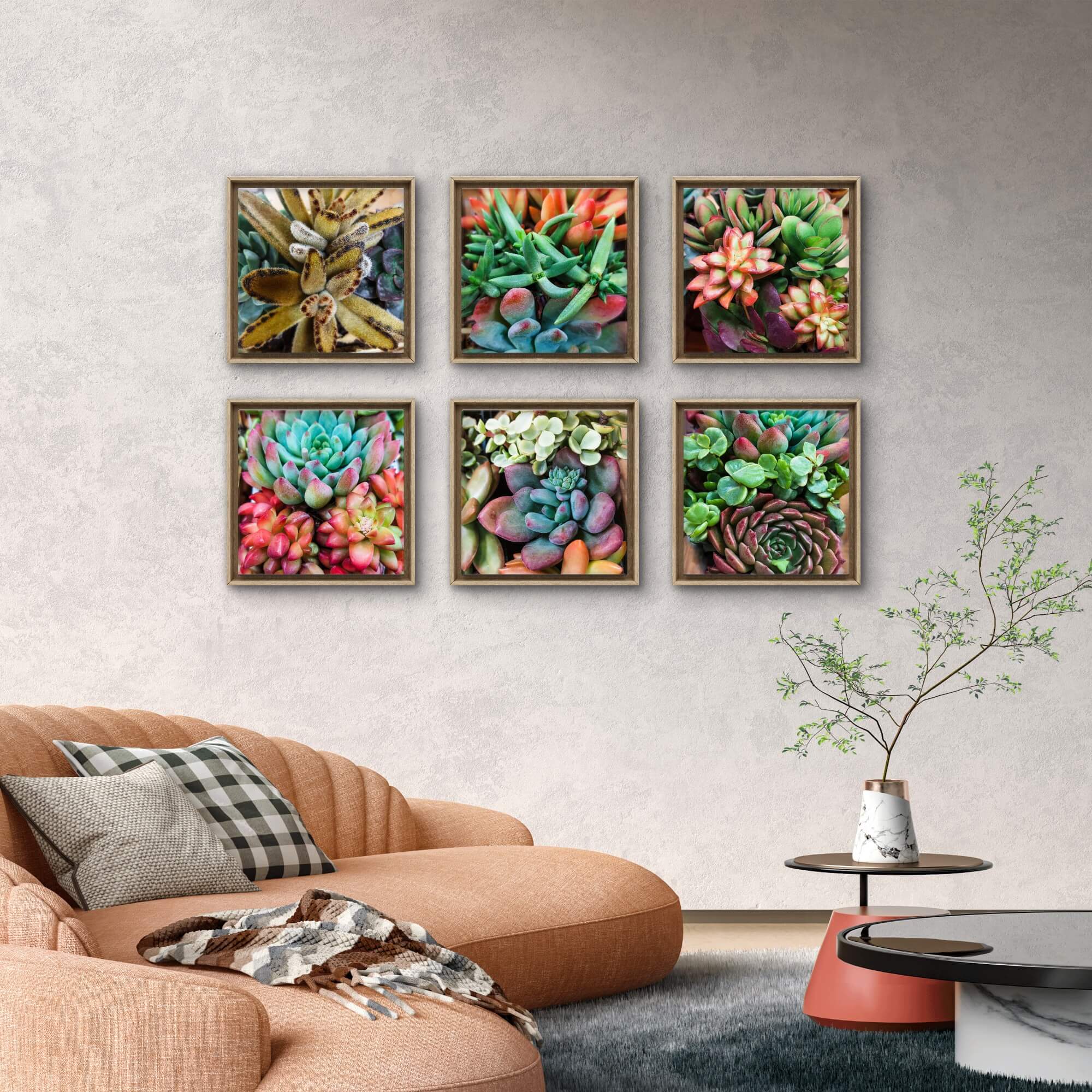 succulent paintings on canvas 8 x 8 in Vibrant Spring Succulents Canvas Wall Art Set of 6 — Unframed Square Macro Photography Prints