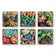 Vibrant Spring Succulents Canvas Wall Art Set of 6 — Unframed Square Macro Photography Prints