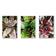 Vibrant Succulent Plants Authentic Closeup Photography Wall Art | Vertical Unframed Canvas Prints Set of 3 | Biophilic Home Office Décor