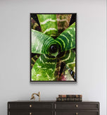 Vibrant Succulent Plants Authentic Closeup Photography Wall Art | Vertical Unframed Canvas Prints Set of 3 | Biophilic Home Office Décor