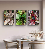 Vibrant Succulent Plants Authentic Closeup Photography Wall Art | Vertical Unframed Canvas Prints Set of 3 | Biophilic Home Office Décor
