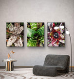 Vibrant Succulent Plants Authentic Closeup Photography Wall Art | Vertical Unframed Canvas Prints Set of 3 | Biophilic Home Office Décor