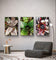 Vibrant Succulent Plants Authentic Closeup Photography Wall Art | Vertical Unframed Canvas Prints Set of 3 | Biophilic Home Office Décor